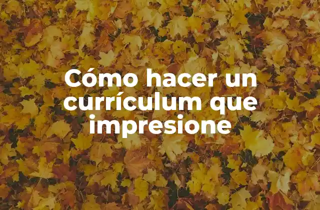 Cómo Hacer un Currículum que Impresione