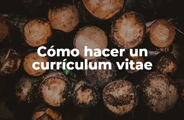 Cómo Hacer un Currículum Vitae