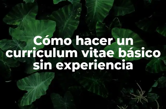 Cómo Hacer un Curriculum Vitae Básico sin Experiencia