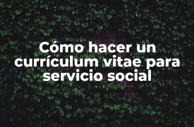 Cómo Hacer un Currículum Vitae para Servicio Social