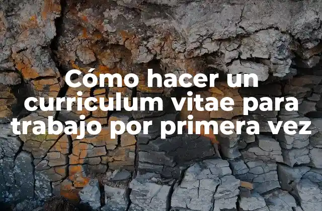 Cómo Hacer un Curriculum Vitae para Trabajo por Primera Vez
