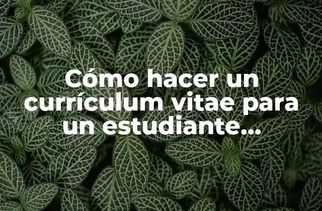 Cómo Hacer un Currículum Vitae para un Estudiante Universitario