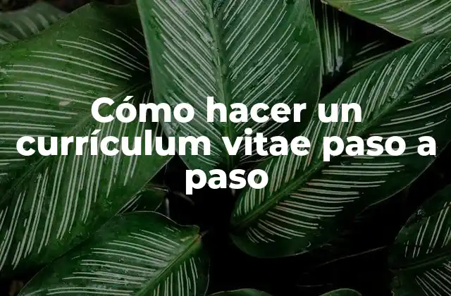Cómo Hacer un Currículum Vitae Paso a Paso