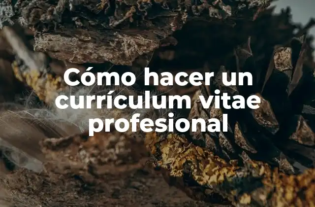 Cómo Hacer un Currículum Vitae Profesional