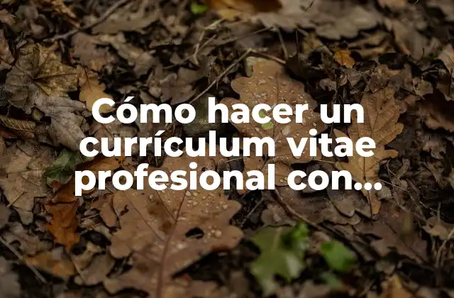 Cómo Hacer un Currículum Vitae Profesional con Ejemplos