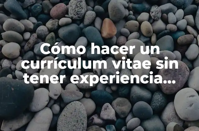 Cómo Hacer un Currículum Vitae sin Tener Experiencia Laboral