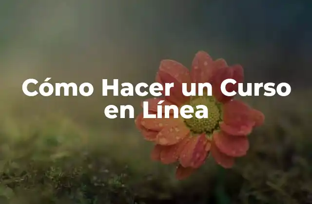 Cómo Hacer un Curso en Línea