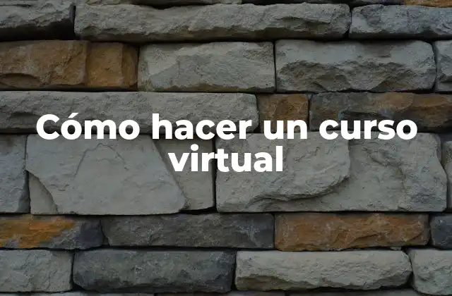 Cómo Hacer un Curso Virtual