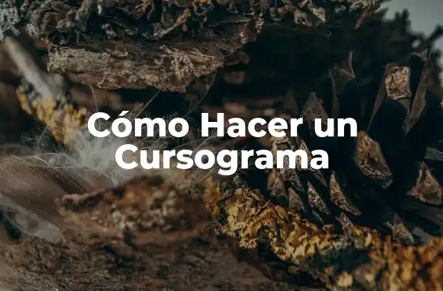 Cómo Hacer un Cursograma