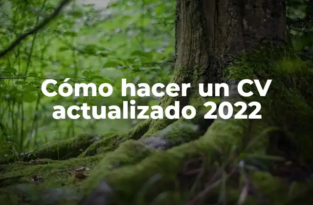 Cómo Hacer un Cv Actualizado 2022