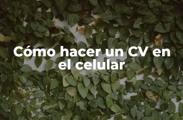 Cómo Hacer un Cv en el Celular