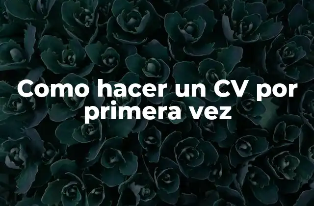 Como Hacer un Cv por Primera Vez