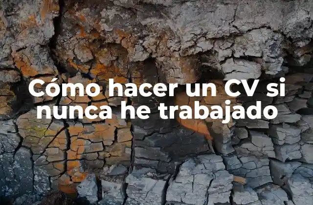 Cómo Hacer un Cv Si Nunca He Trabajado