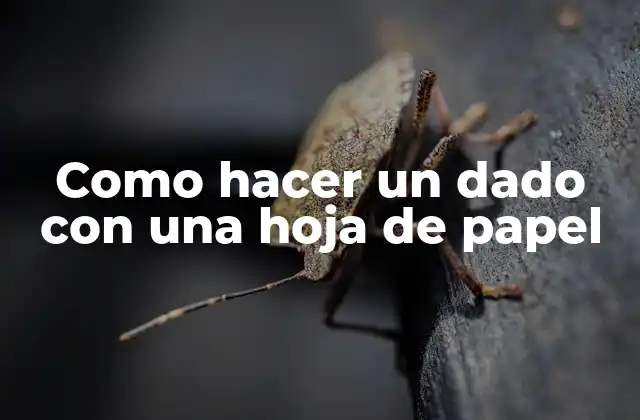 Como Hacer un Dado con una Hoja de Papel