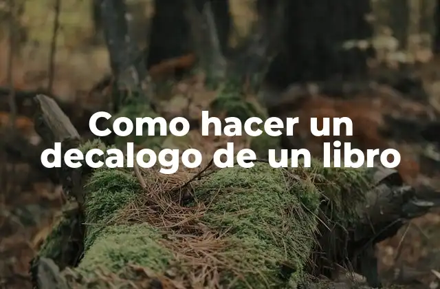 Como Hacer un Decalogo de un Libro