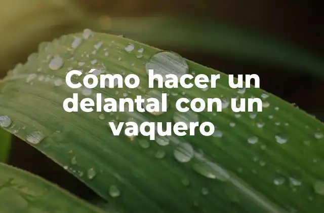 Cómo Hacer un Delantal con un Vaquero