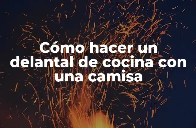 Cómo Hacer un Delantal de Cocina con una Camisa
