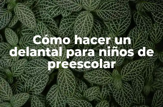 Cómo Hacer un Delantal para Niños de Preescolar 2 ¿Qué es un delantal para niños de preescolar?