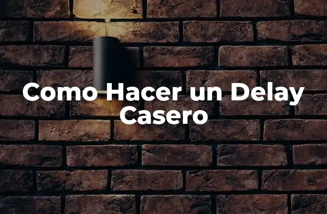 Como Hacer un Delay Casero