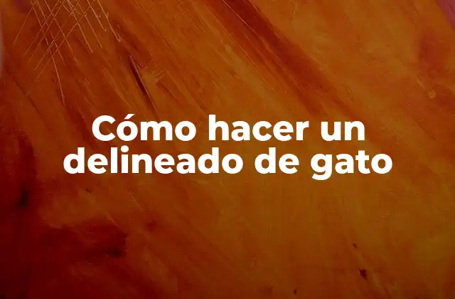 Cómo Hacer un Delineado de Gato
