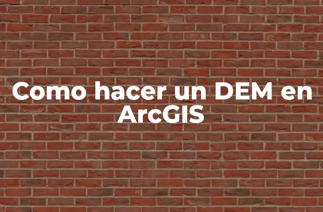 Como Hacer un Dem en Arcgis