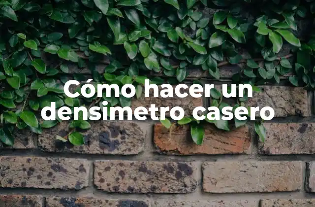 Cómo Hacer un Densimetro Casero
