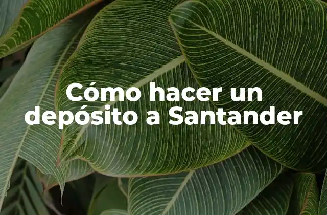 Cómo Hacer un Depósito a Santander