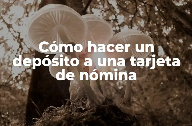 Cómo Hacer un Depósito a una Tarjeta de Nómina