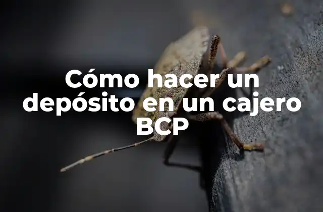 Cómo Hacer un Depósito en un Cajero Bcp