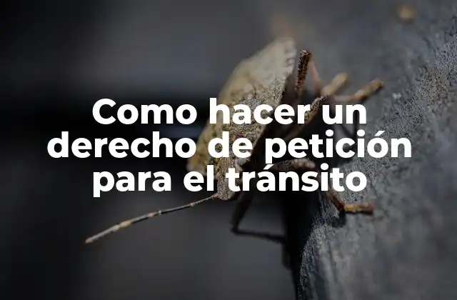 Como Hacer un Derecho de Petición para el Tránsito