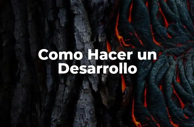 Como Hacer un Desarrollo
