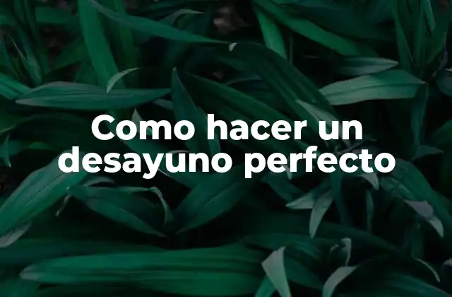 Como Hacer un Desayuno Perfecto