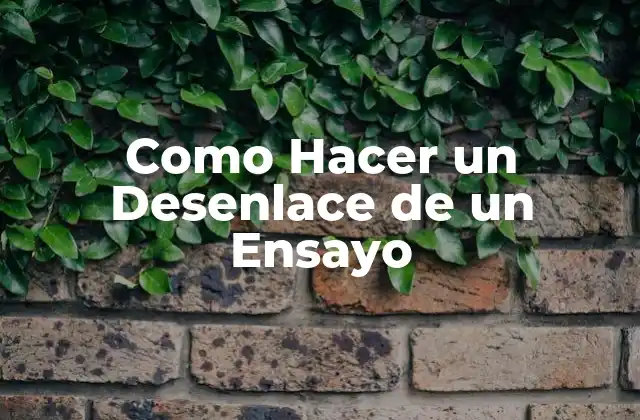 Como Hacer un Desenlace de un Ensayo