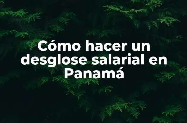 Cómo Hacer un Desglose Salarial en Panamá