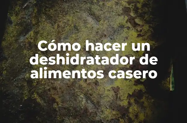 Cómo Hacer un Deshidratador de Alimentos Casero