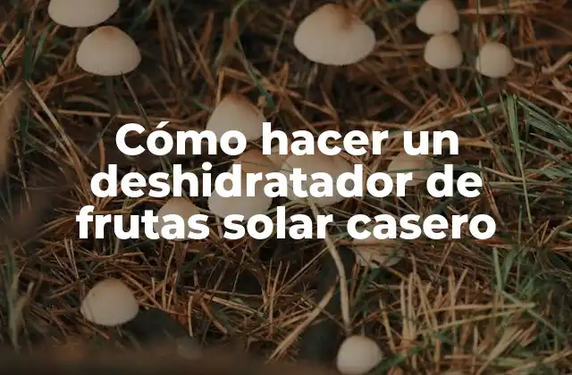 Cómo Hacer un Deshidratador de Frutas Solar Casero