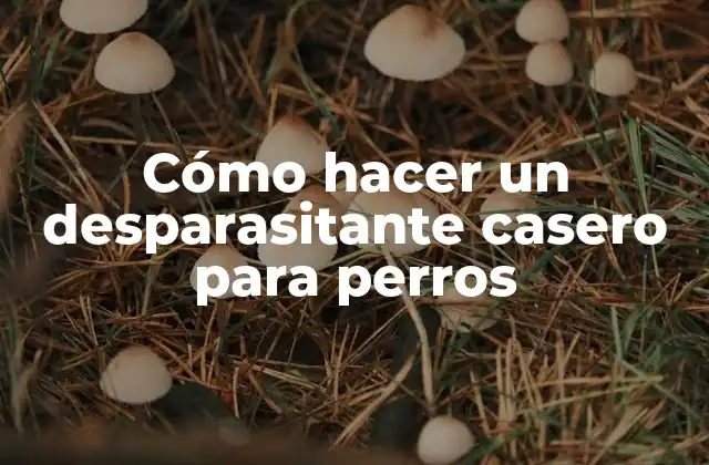 Cómo Hacer un Desparasitante Casero para Perros
