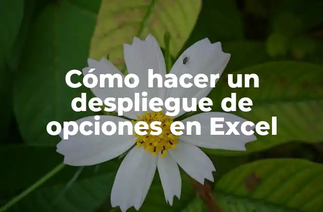 Cómo Hacer un Despliegue de Opciones en Excel