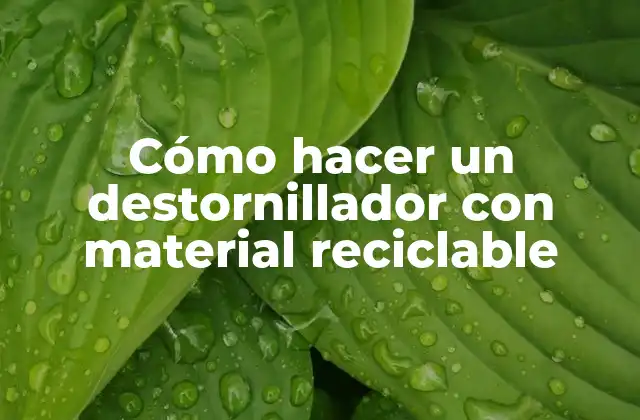 Cómo Hacer un Destornillador con Material Reciclable