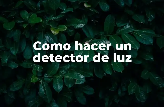 Como Hacer un Detector de Luz 2 ¿Qué es un detector de luz y cómo funciona?