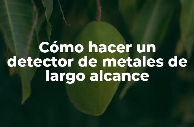 Cómo Hacer un Detector de Metales de Largo Alcance