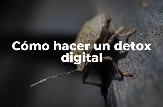 Cómo Hacer un Detox Digital