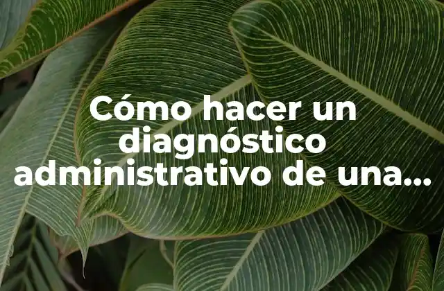 Cómo Hacer un Diagnóstico Administrativo de una Empresa