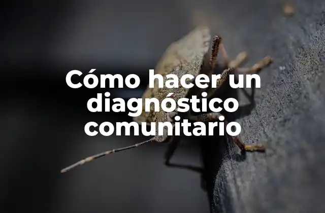 Cómo Hacer un Diagnóstico Comunitario