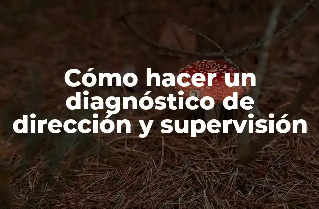 Cómo Hacer un Diagnóstico de Dirección y Supervisión
