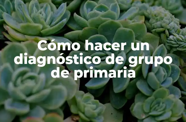 Cómo Hacer un Diagnóstico de Grupo de Primaria