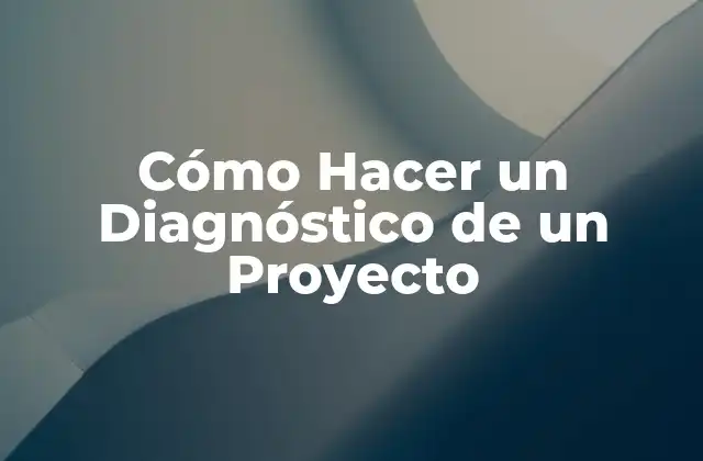 Cómo Hacer un Diagnóstico de un Proyecto