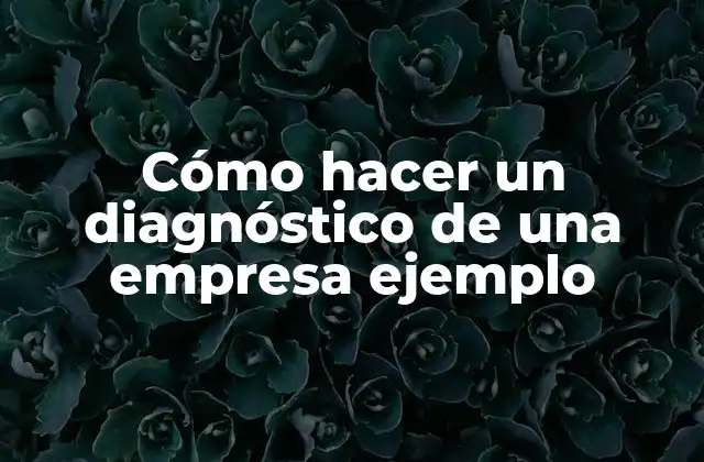 Cómo Hacer un Diagnóstico de una Empresa Ejemplo