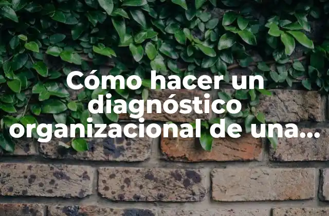 Cómo Hacer un Diagnóstico Organizacional de una Empresa