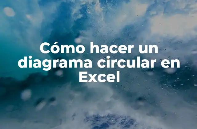 Cómo Hacer un Diagrama Circular en Excel